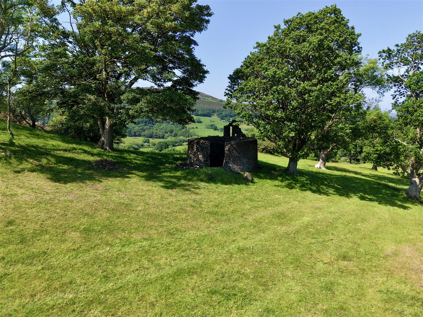 DJI_20260526150225_0262_D.jpg